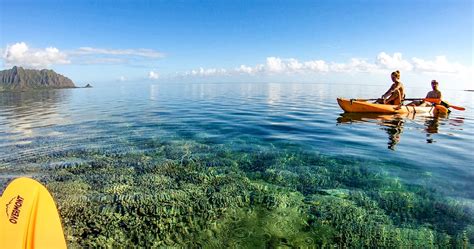 Kaneohe Bay Sandbar kayak rental - Gallery