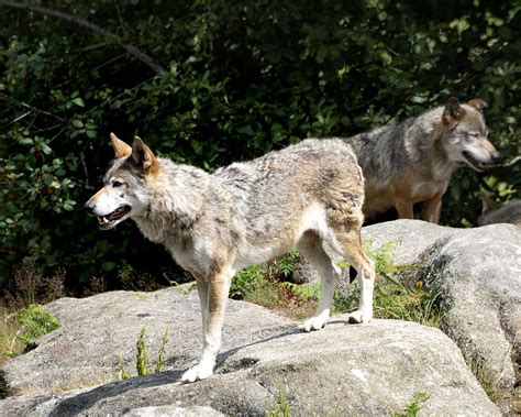 creuse    attractions