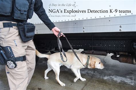 Bomb Sniffing Dogs Featured In Cia Spy Thriller Novel