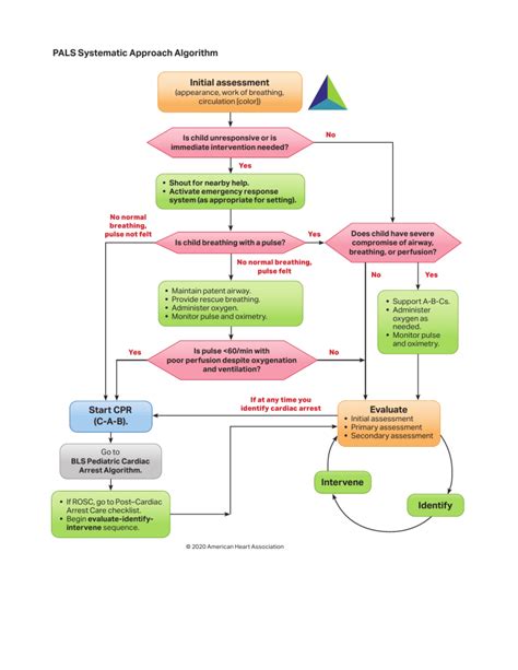 Algorithm Pals Ped Systematic Approach 200615