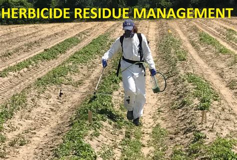 20 Ways to Manage Herbicide Residues | 16th is the Best!