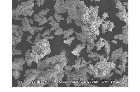 Sem Micrograph Of Copper Powder Download Scientific Diagram