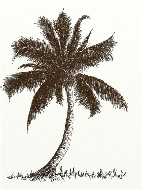 Palm Tree Sketch Easy At PaintingValley Explore Collection Of