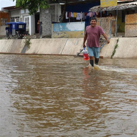 El Otro Lado De Las Lluvias El Resurgir De Los Bosques Secos Durante Climas Extremos Costas