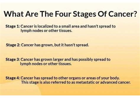 SOLUTION: Stages and types of cancer - Studypool