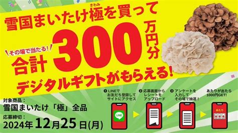 1225まで当たりやすいです！雪国まいたけ極を買ってその場でデジタルギフト1000円分が当たる ずぼらなワーキングマザーのお得生活