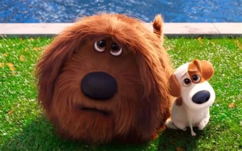 Estrenan Trailer De La Vida Secreta De Tus Mascotas Diario Basta