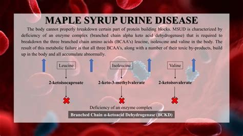 Maple Syrup Urine Disease Ppt