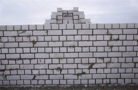 Un Alba Il Nivela El Cemento Con Una Paleta Hace Un Muro De Hormig N