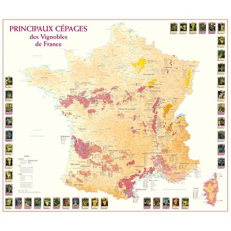 Carte des Principaux Cépages des Vignobles de France poster