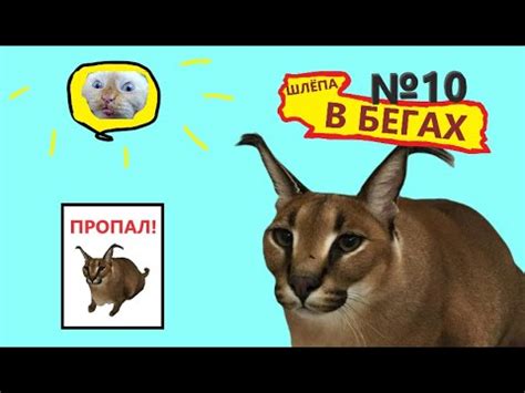 ШЛЁПА В БЕГАХ 10 СЕРИЯ - YouTube
