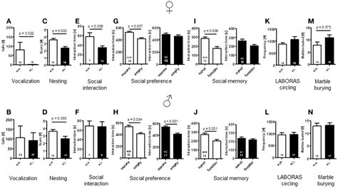 Frontiers Heterozygous Ambra1 Deficiency In Mice A Genetic Trait With Autism Like Behavior