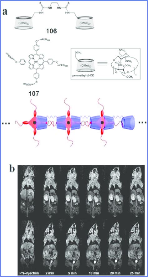 A Schematic Representation Of Supramolecular Polymers Based On