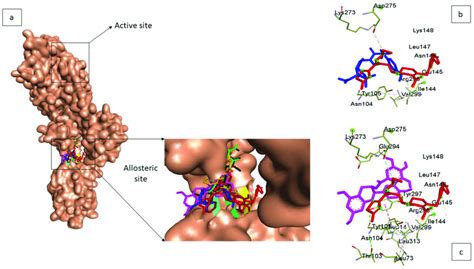 A Superimposition At The Allosteric Site Of The Co Crystal Structure