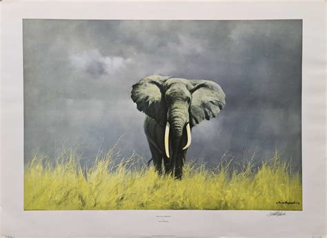 davidshepherd-wiseoldelephant