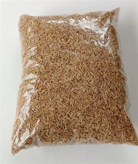 Rice Husk Hulls Compost Hydroponic Growing Media Organic Gardening Free