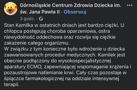 S On Twitter Skatowany Letni Kamilek Z Cz Stochowy