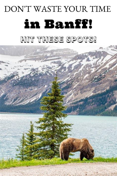 Banff Itinerary How To Spend 1 2 Or 3 Days In Banff 2024 Guide