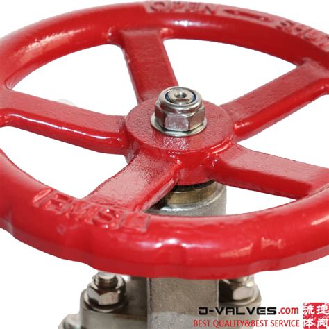 Din Dn Pn A Cf Stainless Steel Flange Globe Valve From