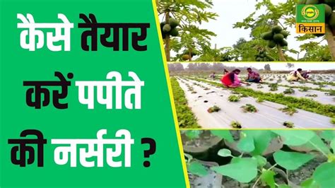 Krishi Darshan कस तयर कर पपत क नरसर agriculture