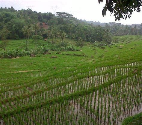 Desa Bantaragung Surga Kecil Di Lereng Gunung Ciremai Potensi Desa