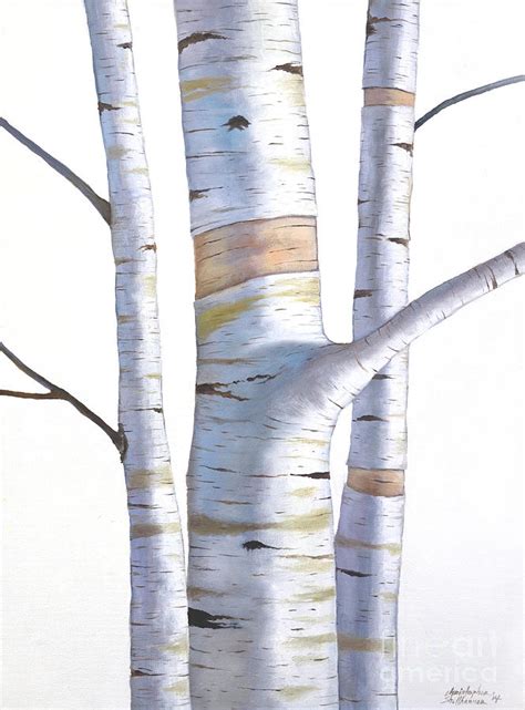 Birch Trees In Three Painting By Christopher Shellhammer Fine Art America