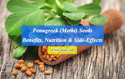 Fenugreek Methi Seeds Benefits Nutrition And Side Effects