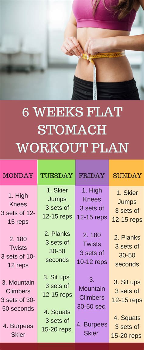 6 Week Workout Plan