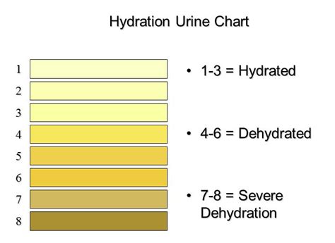 Printable Urine Chart For Dehydration