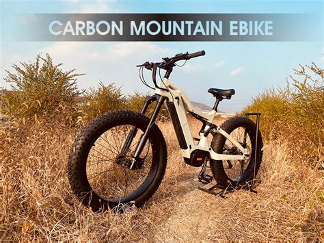 Ebike Carbon Full Suspension Bafang M Mid Motor W Electric Bike