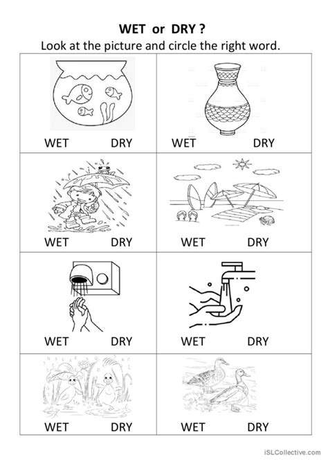 Wet Or Dry English Esl Worksheets Pdf Doc