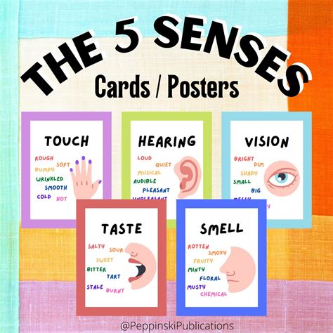 5 Senses Posters For Preschoolers Freebie Senses Preschool Five Porn