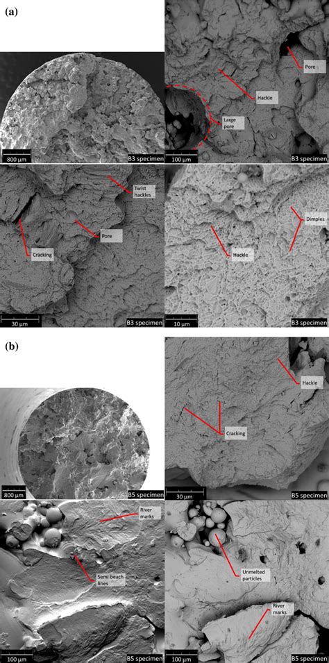 The Fracture Morphology A Specimen Fractured At High Stress Level B