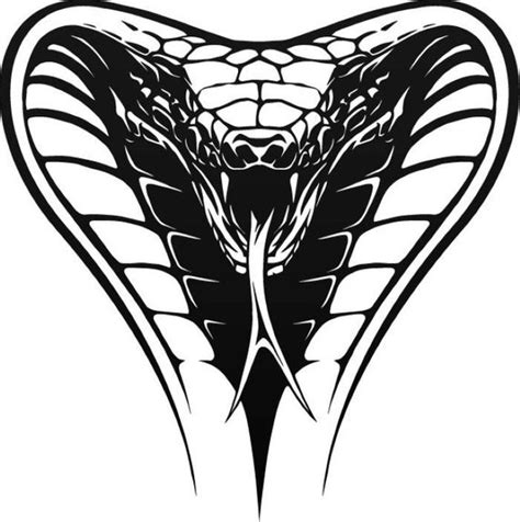 Cobra Head Clipart 20 Free Cliparts Download Images On Clipground 2024