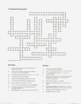 Crossword Puzzle On Bacteria Fungi And Virus With Answer Key Tpt