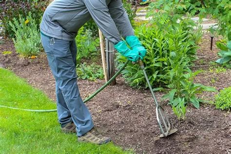 Professional Plant Fertilization Services Tree Fertilizer Specialists