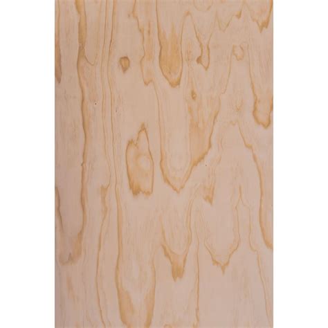 Radiata Structural Plywood High Grade F8 F8 H3 1 Losp Treated Bd 2400 X