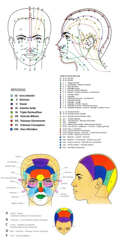 Le Dien Cham Ou Réflexologie Faciale Artofit