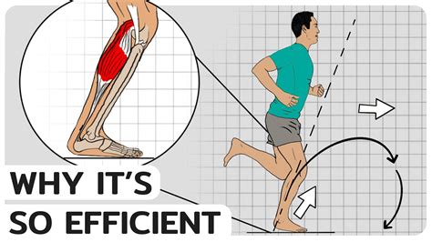 Barefoot Running Technique Benefits - AthleticFly