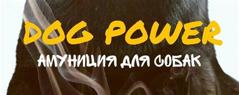 Амуниция для собак " DOG POWER ".Кошелев Парк | Предлагаю к вашему ...