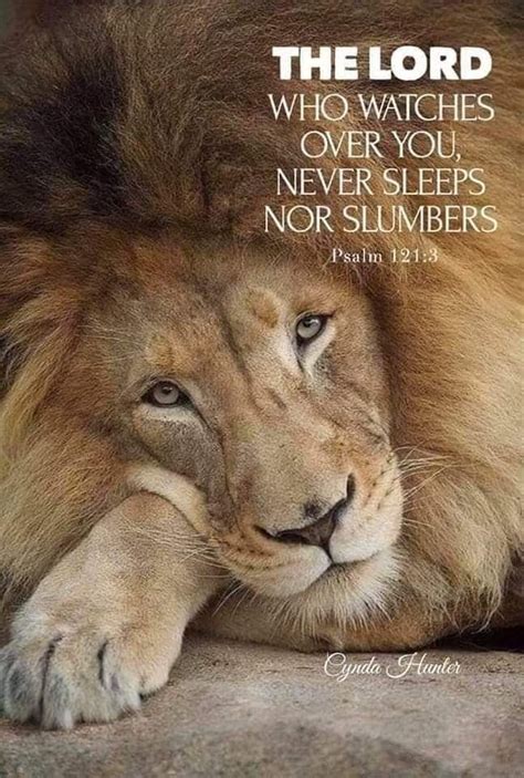 Pin By Sandi Williams On Bible Verses Sayings Bible Prayers Lion