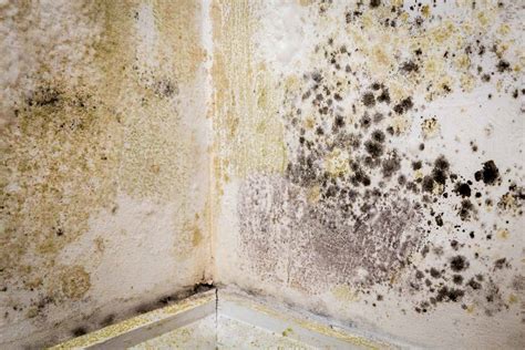 How To Stop Condensation And Damp In A Loft Checkatrade