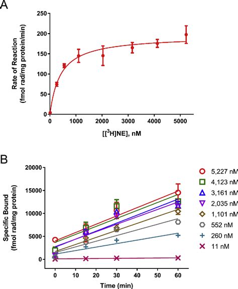 Figure From Development Of Norepinephrine Transporter Reuptake