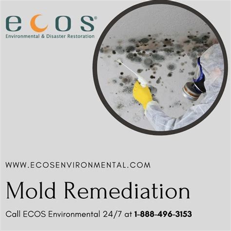 Mold Exposure Effects - Water Damage Restoration Service in Boulder