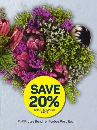 Pnp Protea Bunch Or Fynbos Posy Each Offer At Pick N Pay