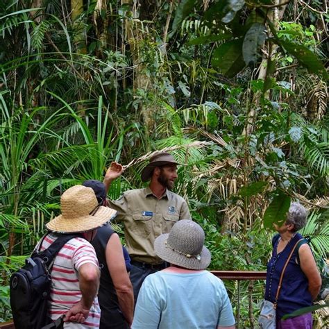 Cairns: Skyrail Rainforest Cableway Tickets | Tiqets