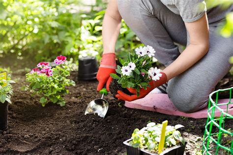 Three Things To Do To Ensure Pain Free Gardening Beacon Physical Therapy