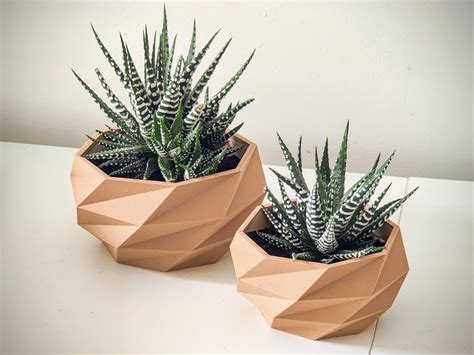 3d Printed Pots For These Cute Succulents Rplant