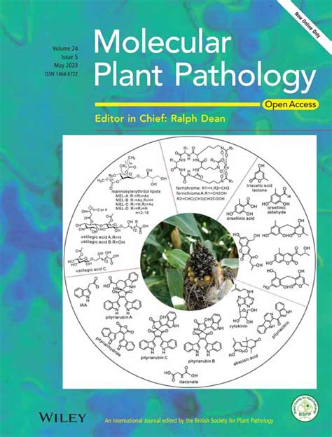 Molecular Plant Pathology Vol 24 No 5