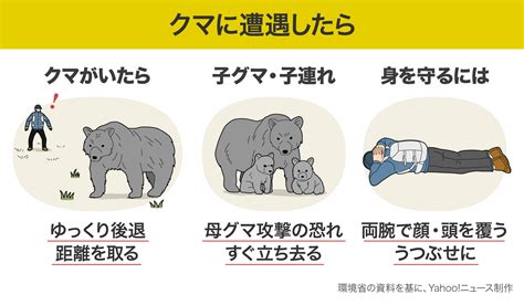 【qanda】クマに遭遇したときの対処法は？ 【図解】（yahoo ニュース オリジナル The Page）